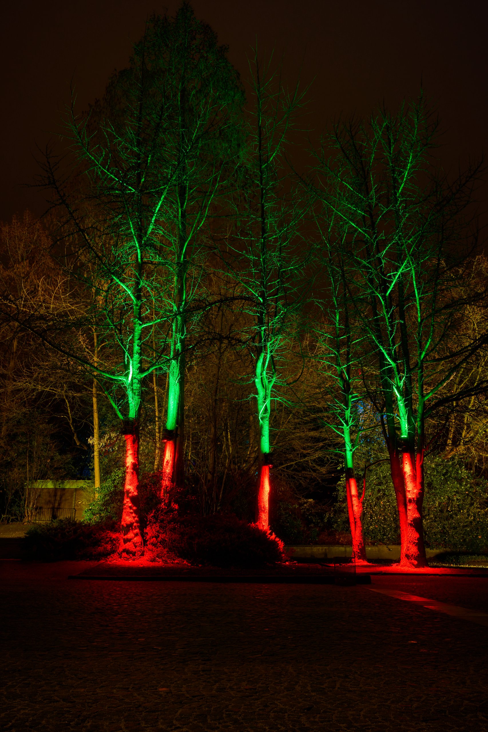 2026 02 03 Parkleuchten 0152